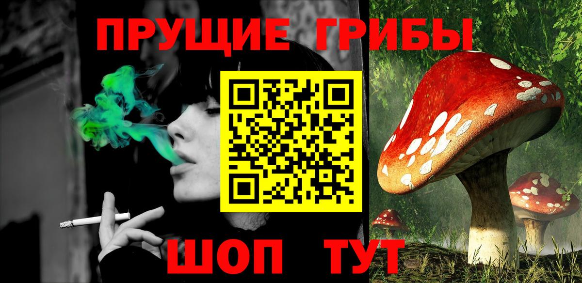 Кушва  Галлюциногенные грибы прущие грибы  закладки  Вход с VPN 